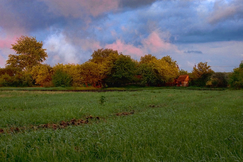 Фото жизнь (light) - FotoOhotnik - корневой каталог - ***