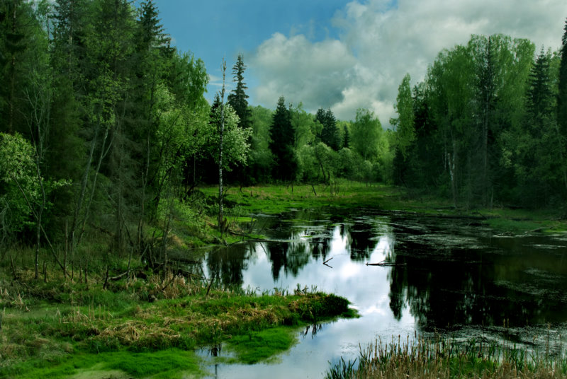 Фото жизнь