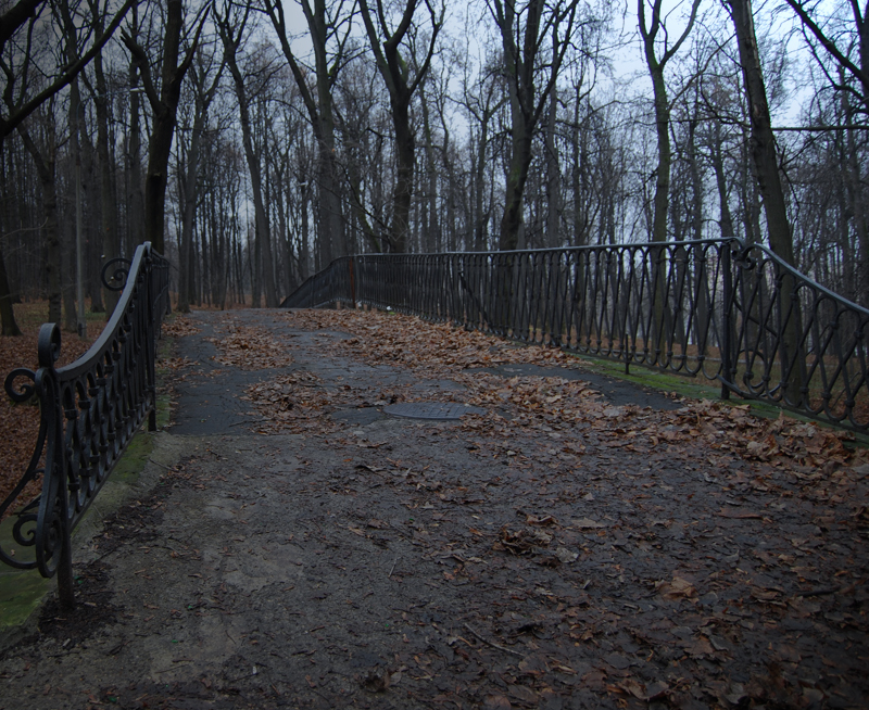 Фото жизнь - vlad1334 - Осень  - "Прогулка в осеннем парке " 