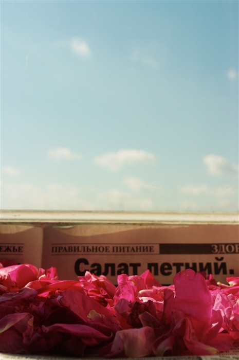 Фото жизнь