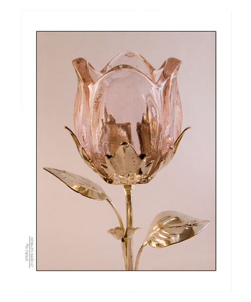 Фото жизнь (light) - jevgenik - корневой каталог - glass rose