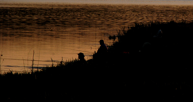 Фото жизнь (light) - Октай Гусейнов - Жанр - Вечерняя рыбалка
