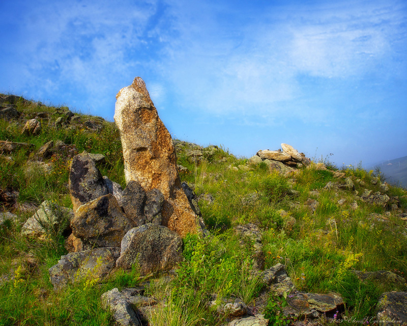 Фото жизнь