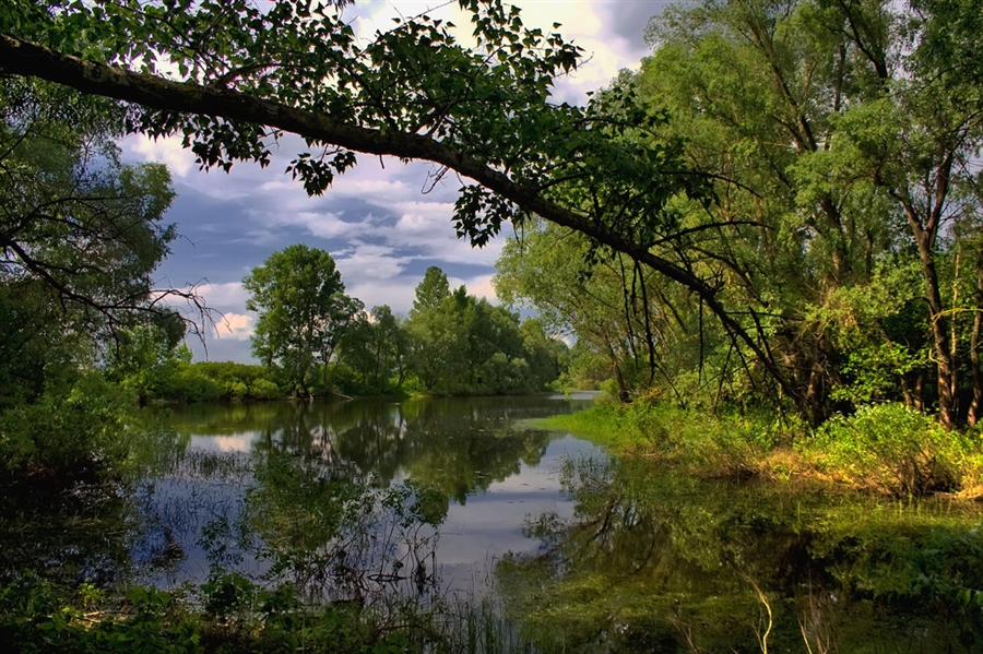 Фото жизнь