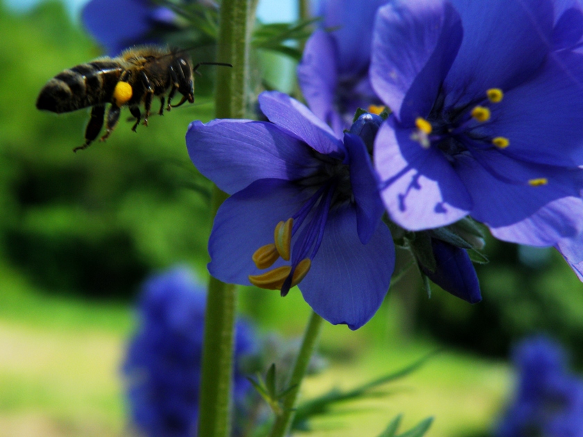 Фото жизнь (light) - Геннадий Нехай - корневой каталог - + * :)