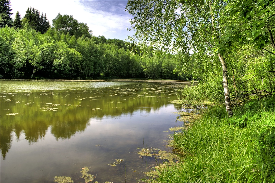 БЛИЖНЕЕ