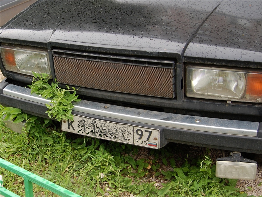 Фото жизнь