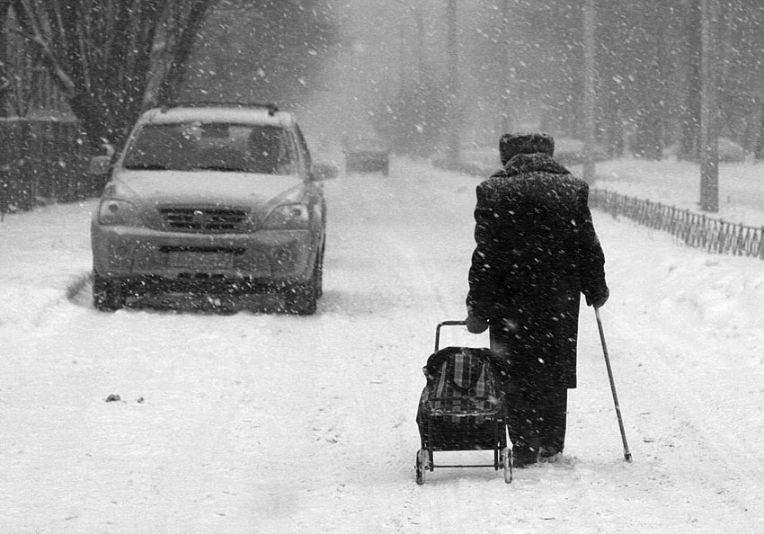 Фото жизнь (light) - Vladimir Toropov - корневой каталог - Домой
