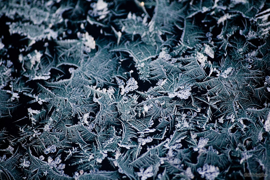 Фото жизнь (light) - Е.Колодяжный - корневой каталог - На стекле