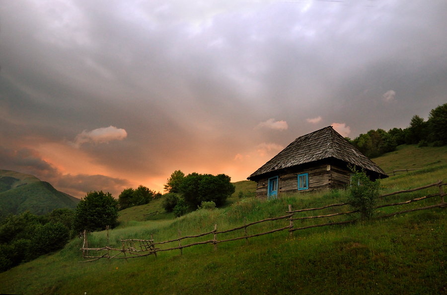 Фото жизнь