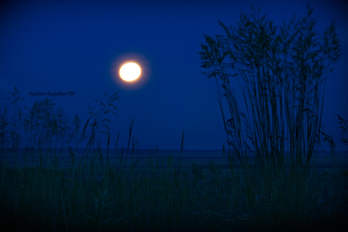 Фото жизнь - Катышев Андрей - корневой каталог - полная луна