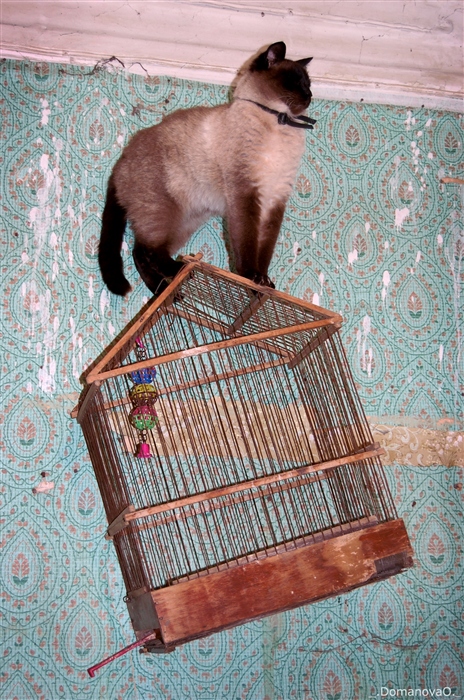 Фото жизнь