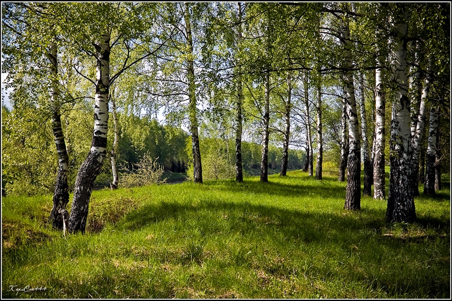 Фото жизнь