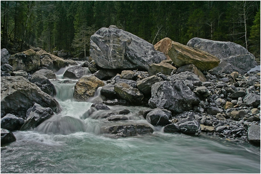 Фото жизнь