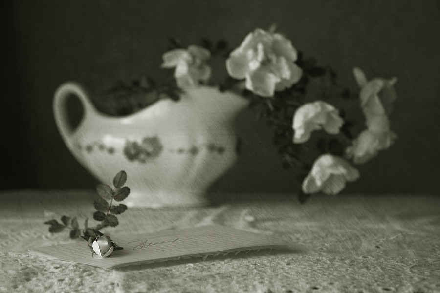 Фото жизнь - Ольга Енаева - натюрморты,цветы - прочтешь ли ты......