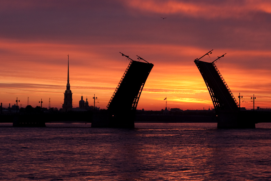 Фото жизнь
