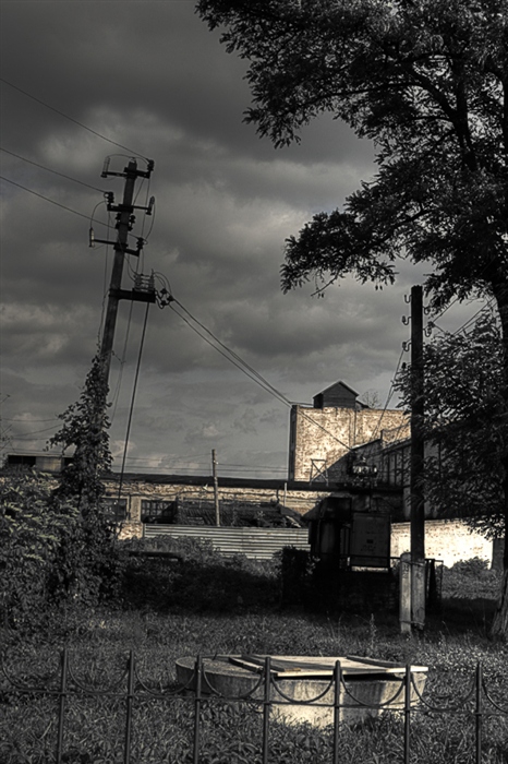 Фото жизнь