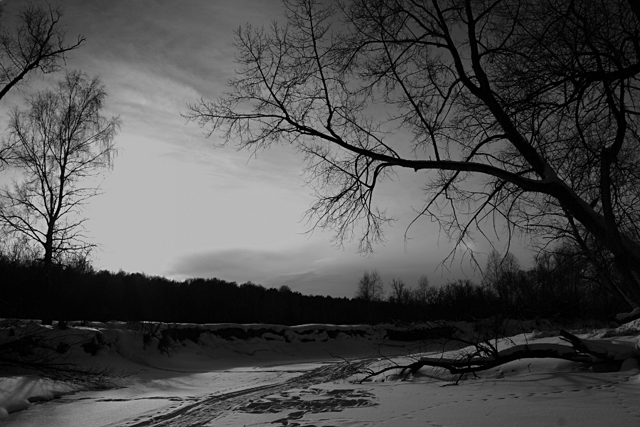 Фото жизнь (light) - danka - Черно-белые - Зимние сумерки