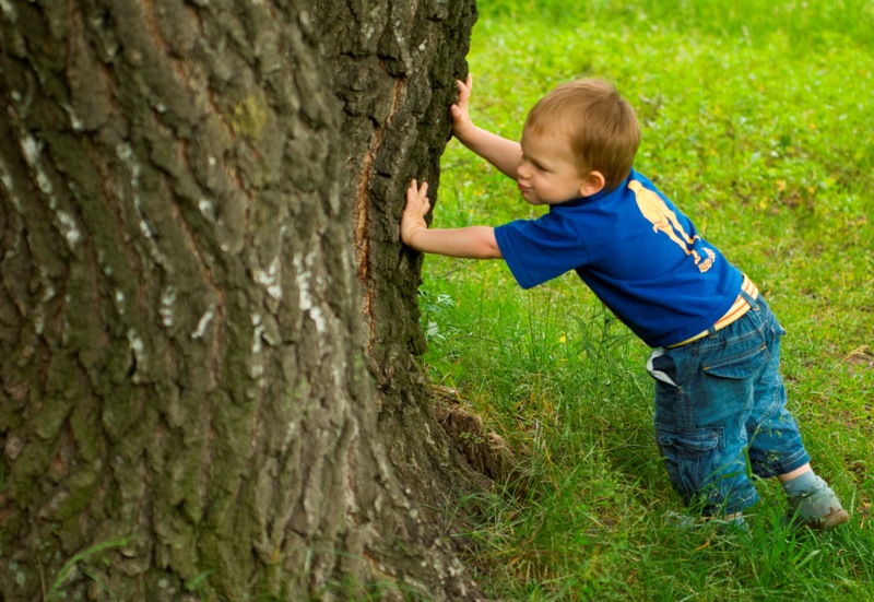 Фото жизнь (light) - Kip - Портрет - Сверну горы... ну или деревья...