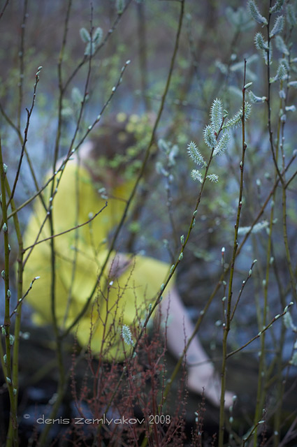 Фото жизнь (light) - Денис Земляков - PEOPLE - ...о нимфах