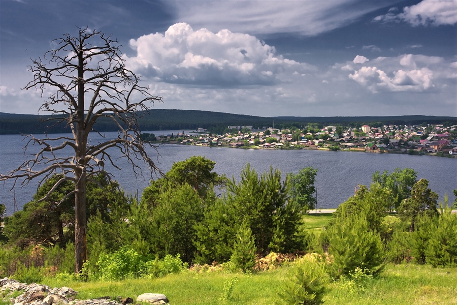 Фото жизнь