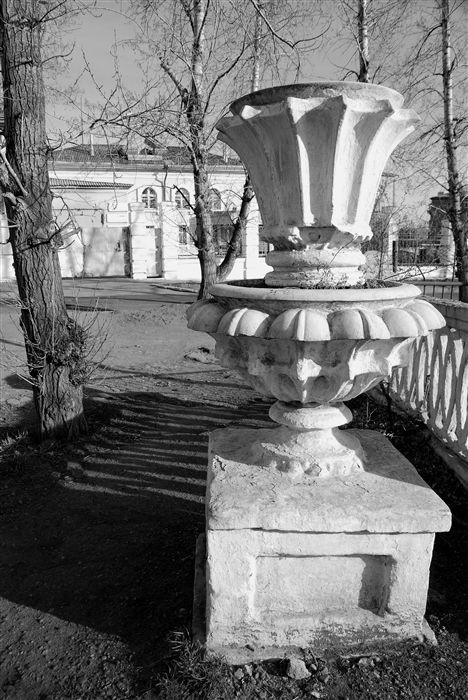 Фото жизнь