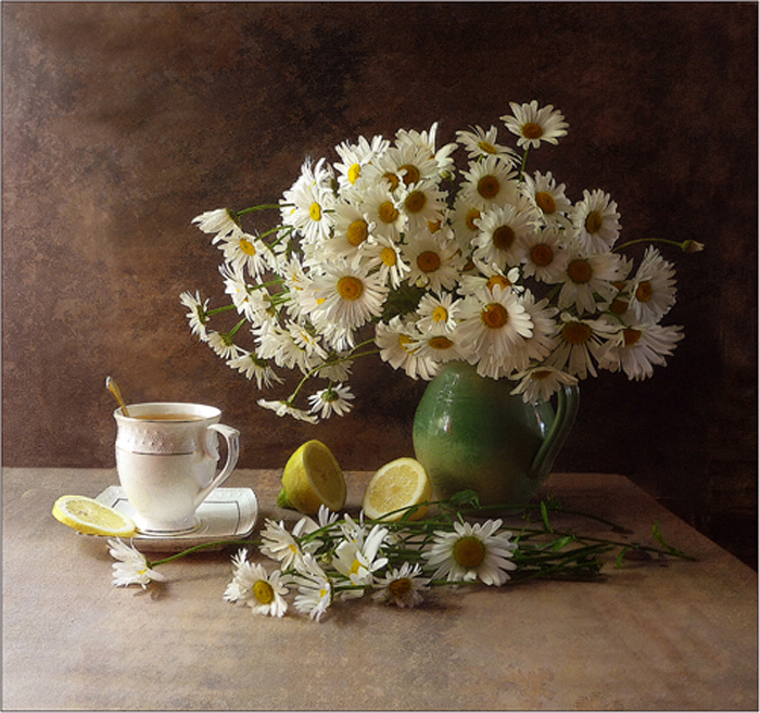 Фото жизнь (light) - Nattallia Shloma - корневой каталог - Чай с лимоном и ромашками 
