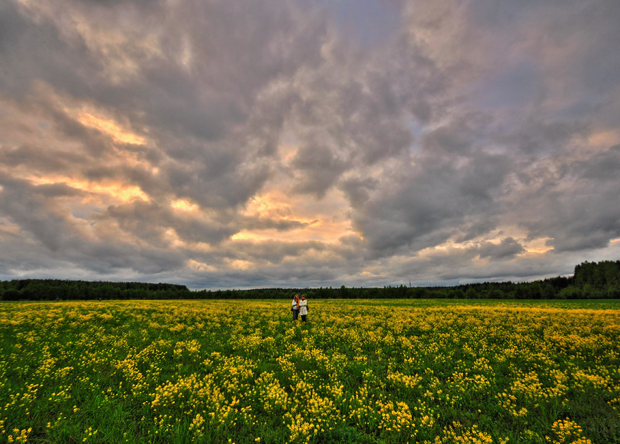 Фото жизнь - Pastor - ПЕЙЗАЖИ - Закат на поле сурепки