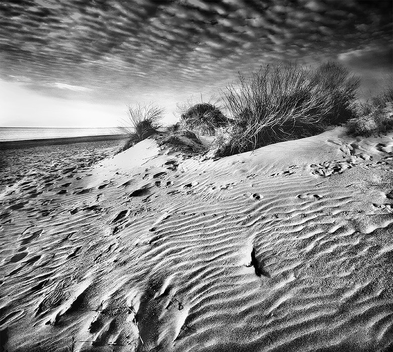 Фото жизнь - Mikhail Zvonkov - корневой каталог - песчаный пляж... 
