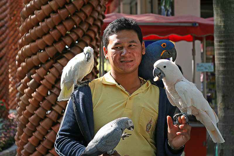 Фото жизнь (light) - andreyy - корневой каталог - сейчас вылетит птичка!...ой,уже вылетела....да не одна..