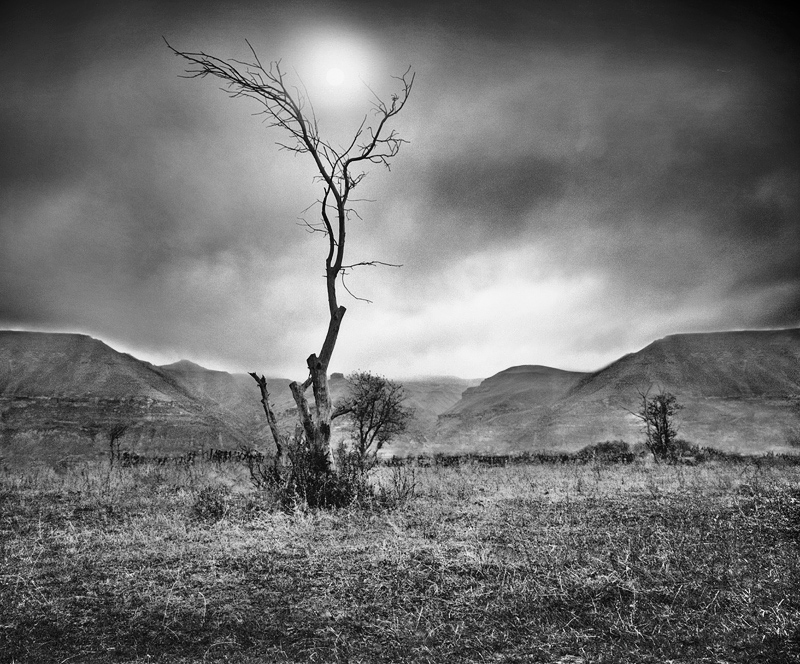 Фото жизнь (light) - Mikhail Zvonkov - корневой каталог - земли шаманов