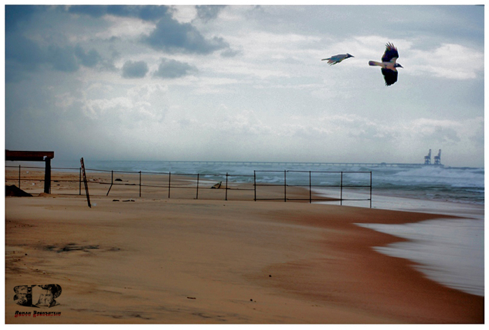 Фото жизнь (light) - Roman Bronshtein - ART - ПРО БЕСПОКОЙСТВО