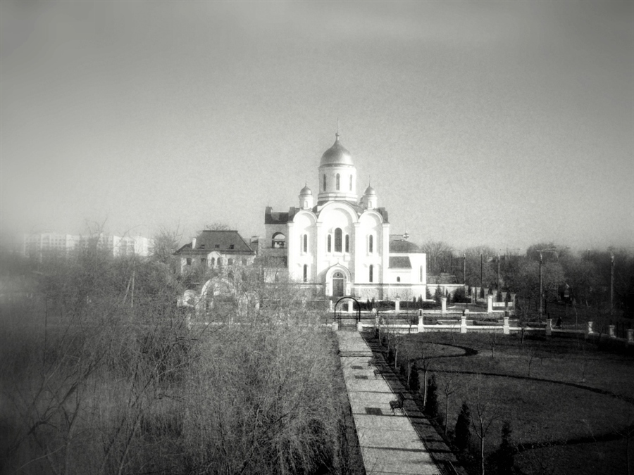 Фото жизнь