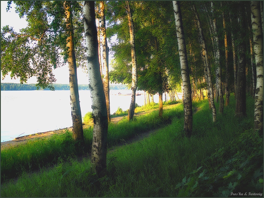Фото жизнь
