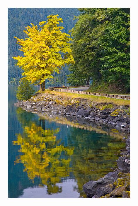 Фото жизнь (light) - Ben Marar - корневой каталог - The colors of Fall