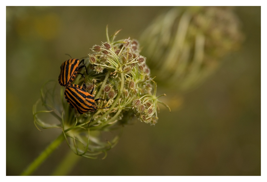 А может это любовь? - 2