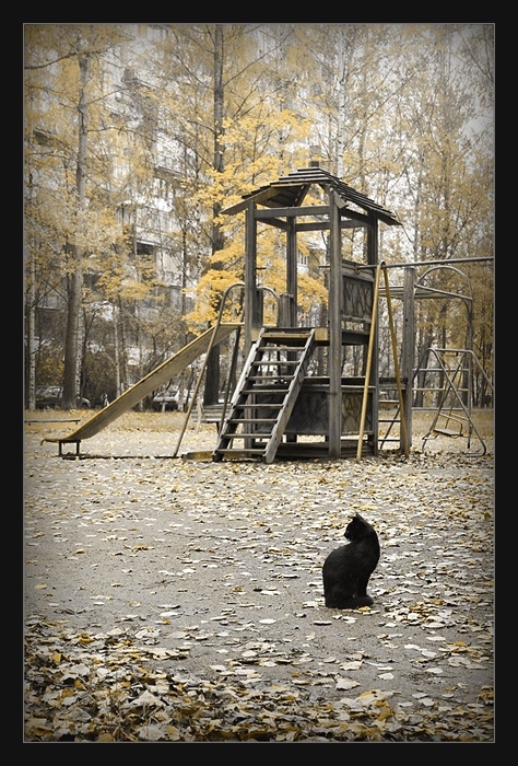 Фото жизнь (light) - KARAKULEV - корневой каталог - Дворик Из Детства