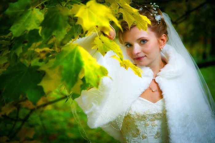 Фото жизнь - Фотостудия жОлтый лист - корневой каталог - свадьба