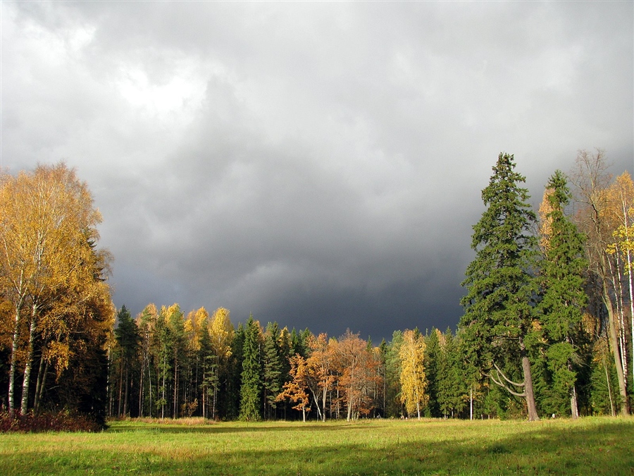 Фото жизнь