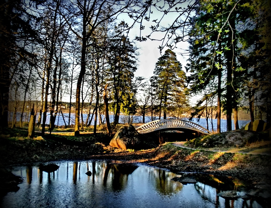 Фото жизнь