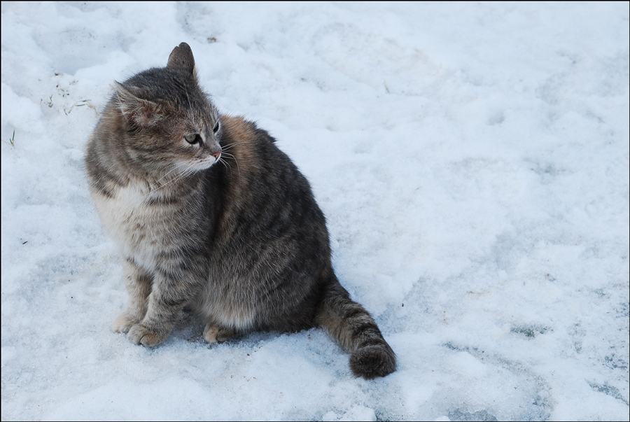 Фото жизнь