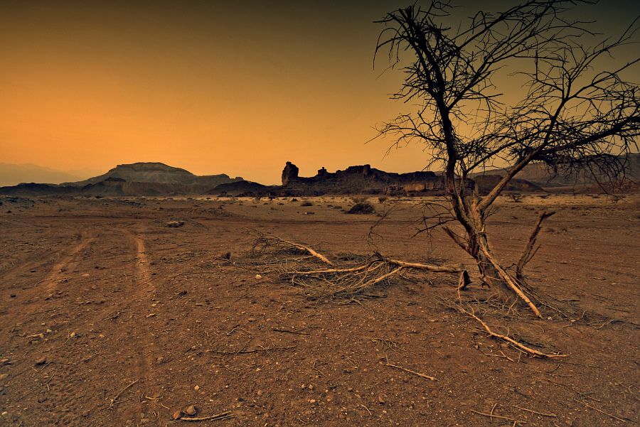 Фото жизнь (light) - MIUN - корневой каталог - пустыня