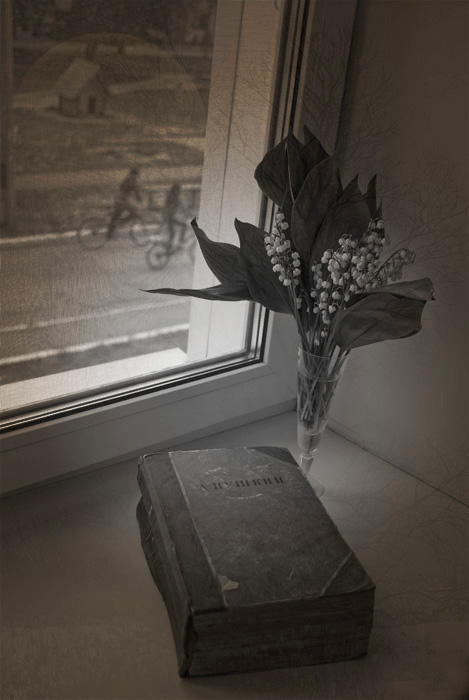 Фото жизнь (light) - ПРОШЛОЕ ЛЕТО - Цветы на клумбе и не только... - Истинное...