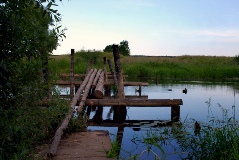 Фото жизнь