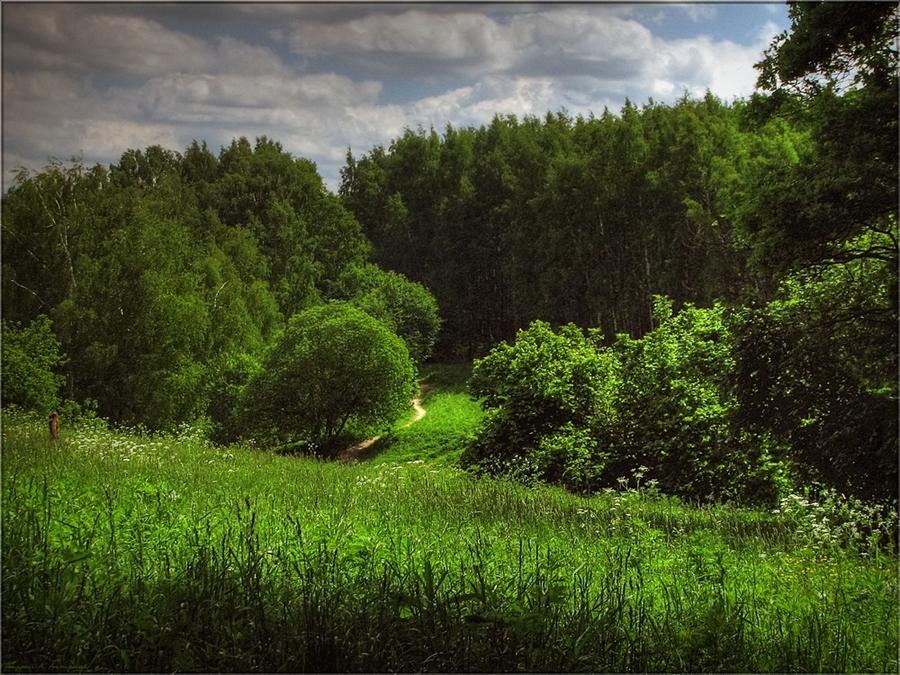 Фото жизнь