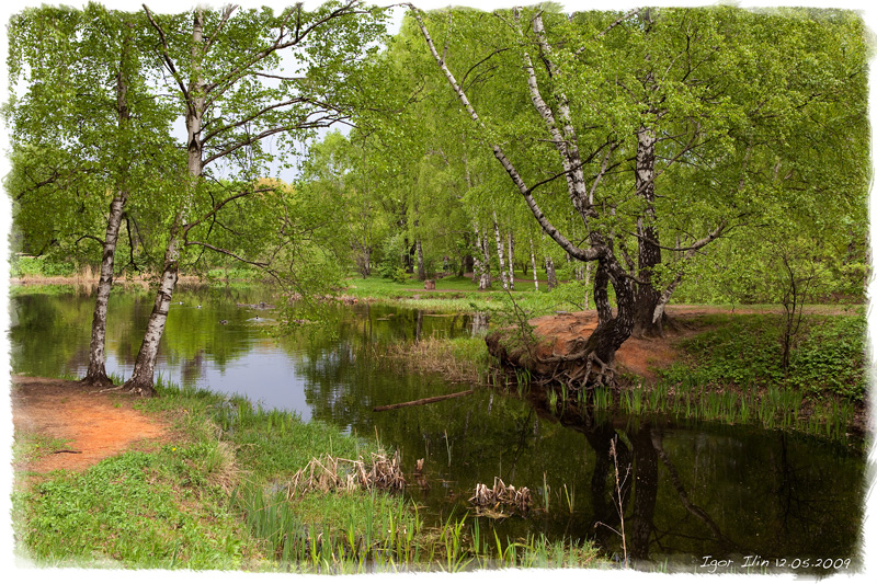 Фото жизнь (light) - igor-ilin - корневой каталог - тихое место