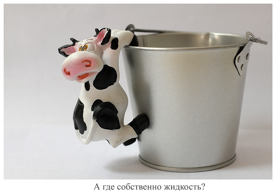 Фото жизнь (light) - Zerera - про разное - Про корову и ведро....