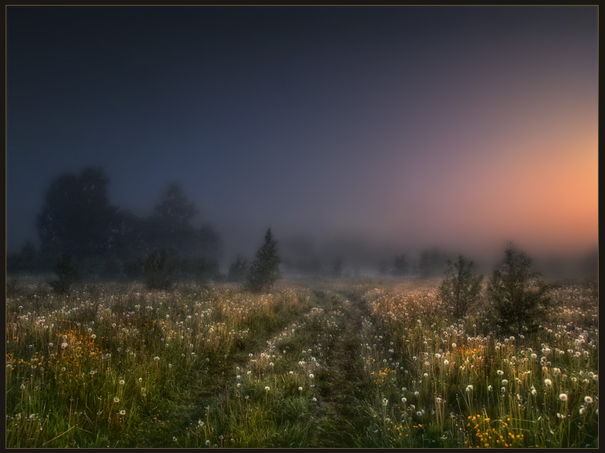 Фото жизнь (light) - Лизавета - корневой каталог - Туман на белые одуванчики...