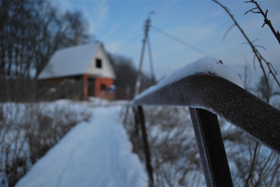 Фото жизнь