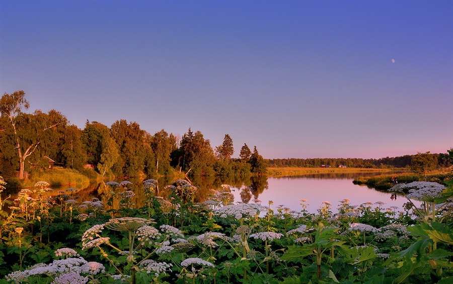 Фото жизнь